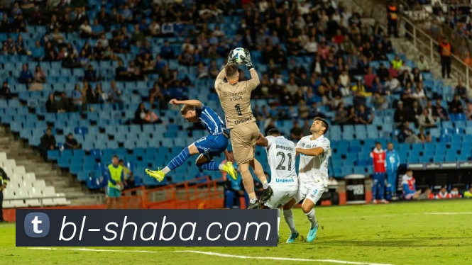 沙巴体育平台平台生态图